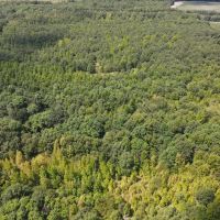 80 Acres in Quitman County MS images 3