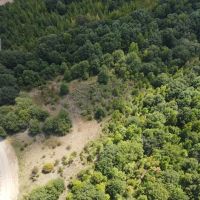 80 Acres in Quitman County MS images 4
