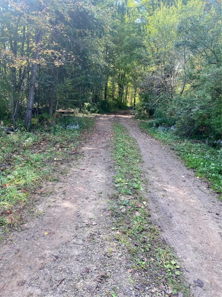 32 acres Off Grid Camp with Pond in Birdsall NY 3655 Worden Rd Hunting Land for Sale