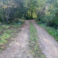 32 acres Off Grid Camp with Pond in Birdsall NY 3655 Worden Rd images 5