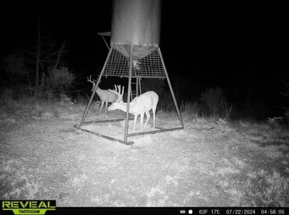 KS - Barber 430 acres - featured image