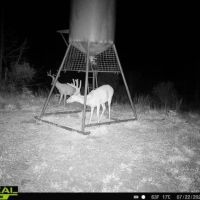 KS - Barber 430 acres -