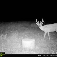 KS - Barber 430 acres - images 2