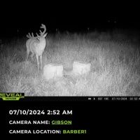 KS - Barber 430 acres - images 3