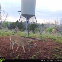 KS - Barber 430 acres - images 4