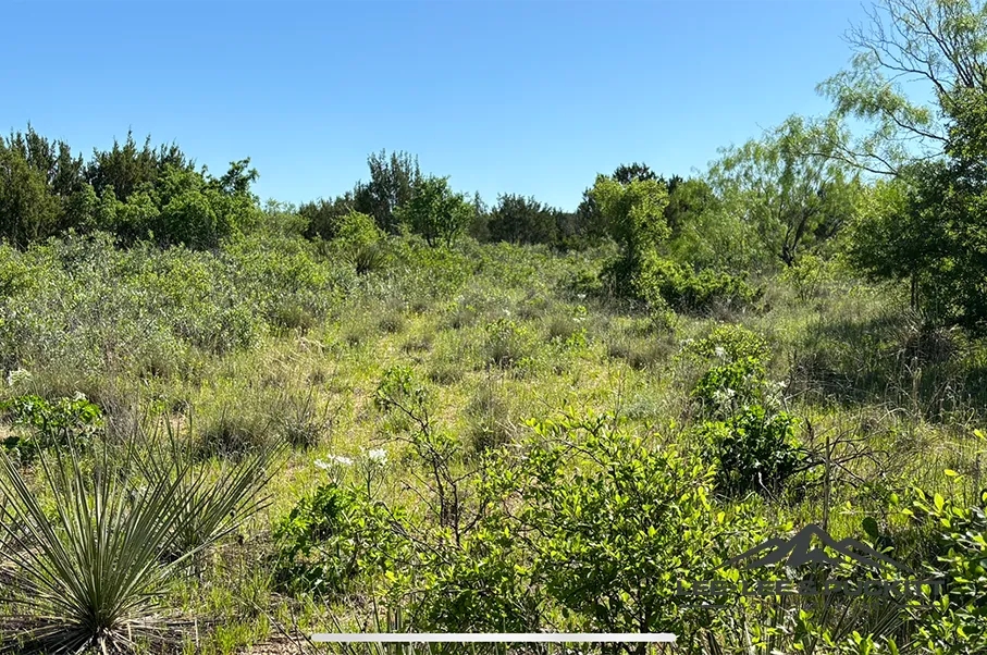 Anderson Silver Hunting Land for Sale