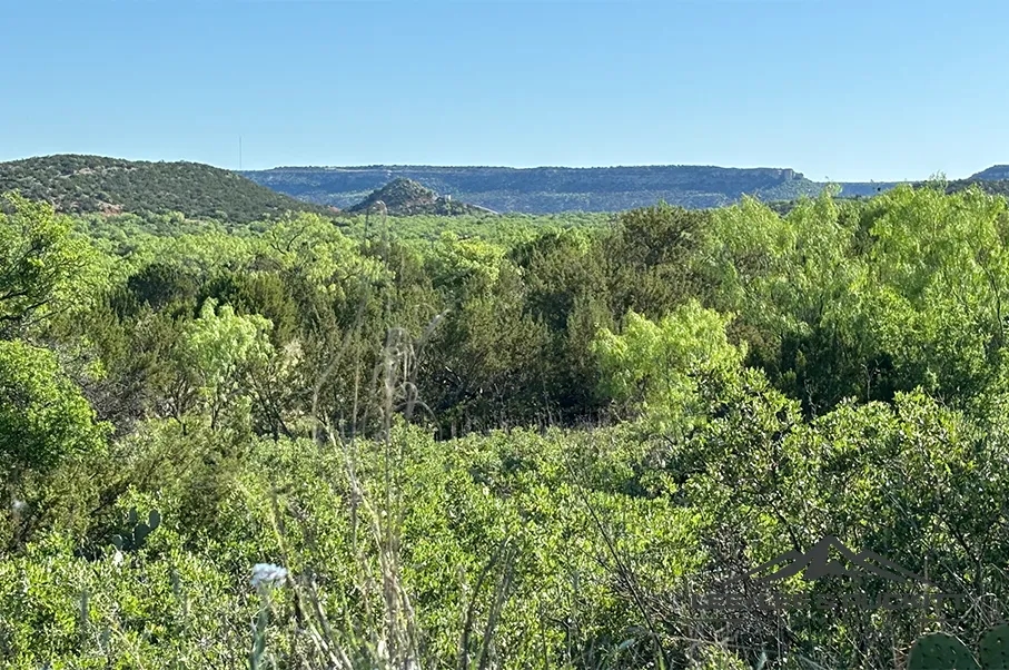 Anderson Silver Hunting Land for Sale