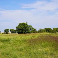 40 Acres of Hunting Land in Stroud Oklahoma images 3