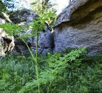 5700 acres Carter Canyon mule deer hunting land in Gering, NE images 3