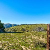 Freestar Hunting Properties images 3