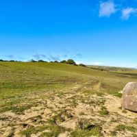 Freestar Hunting Properties images 4