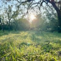 Wilson Carlsbad Ranch images 4