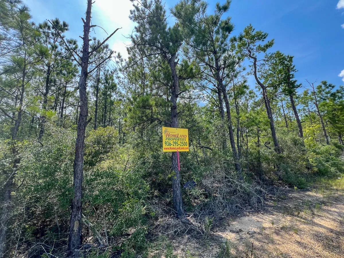 44 Acres T1 Highway 96 287053 Hunting Land for Sale HuntingLocator