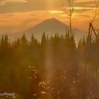 9 acre beautiful view near road Caribou Hills