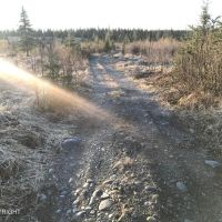 9 acre beautiful view near road Caribou Hills images 2