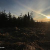 9 acre beautiful view near road Caribou Hills images 3