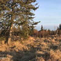 9 acre beautiful view near road Caribou Hills images 4