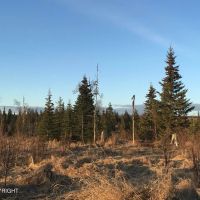 9 acre beautiful view near road Caribou Hills images 5