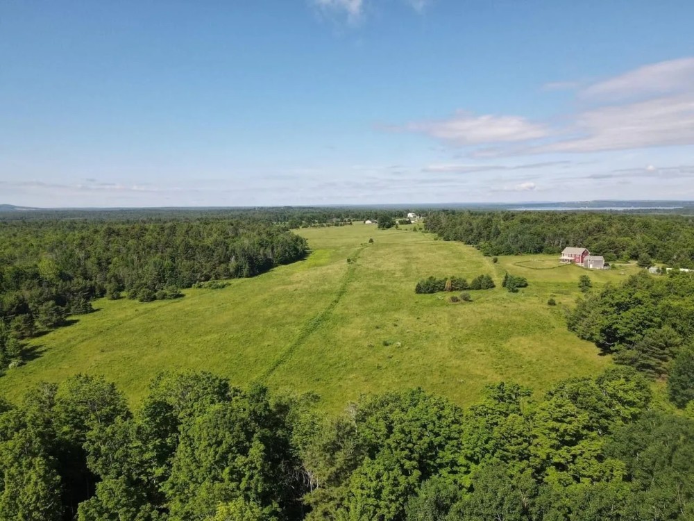 31 Acres of Woods and Fields Outside of Bangor featured image