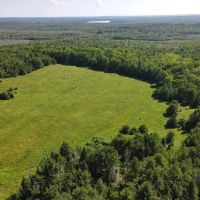 31 Acres of Woods and Fields Outside of Bangor images 4