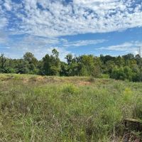 99.19 AC HIGHWAY 84 NATCHEZ MS 39120 images 5
