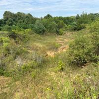 99.19 AC HIGHWAY 84 NATCHEZ MS 39120 images 3