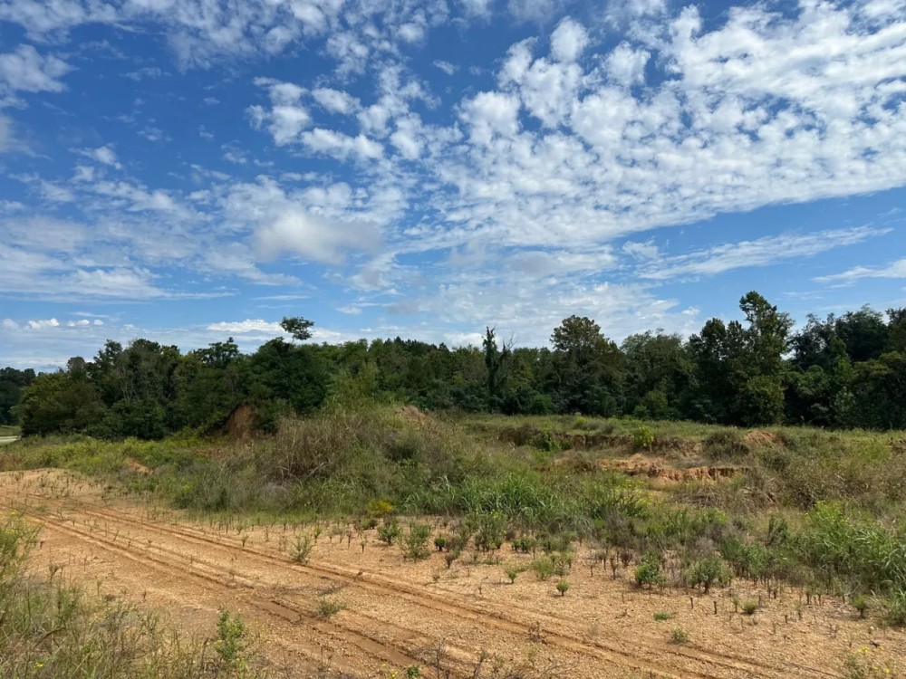 99.19 AC HIGHWAY 84 NATCHEZ MS 39120 featured image
