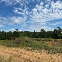 99.19 AC HIGHWAY 84 NATCHEZ MS 39120 images 1
