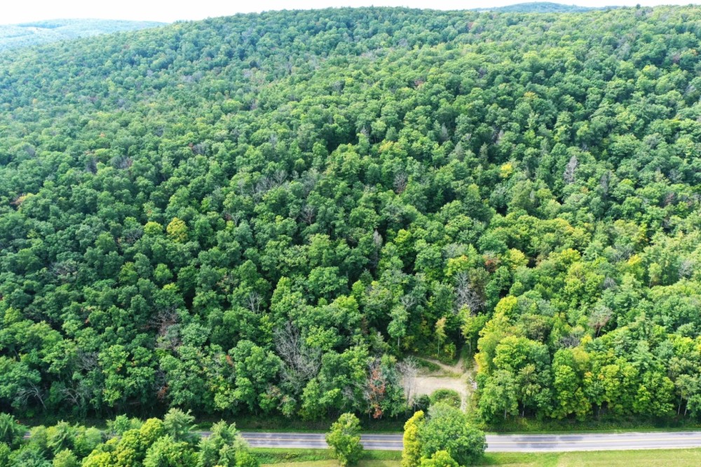120 acres Hunting Land and Recreational Land with Pond in Bath NY 8175 County Road 13 near Keuka Lake featured image