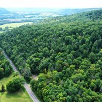 120 acres Hunting Land and Recreational Land with Pond in Bath NY 8175 County Road 13 near Keuka Lake images 2