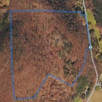 120 acres Hunting Land and Recreational Land with Pond in Bath NY 8175 County Road 13 near Keuka Lake images 3