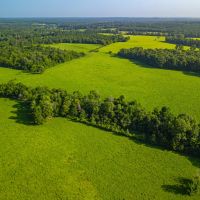 312 T Ranch images 2