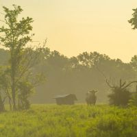 312 T Ranch images 3