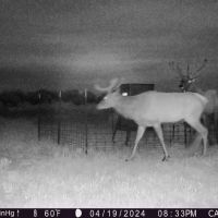 Brazos Bluffs Ranch