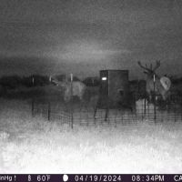 Brazos Bluffs Ranch images 2