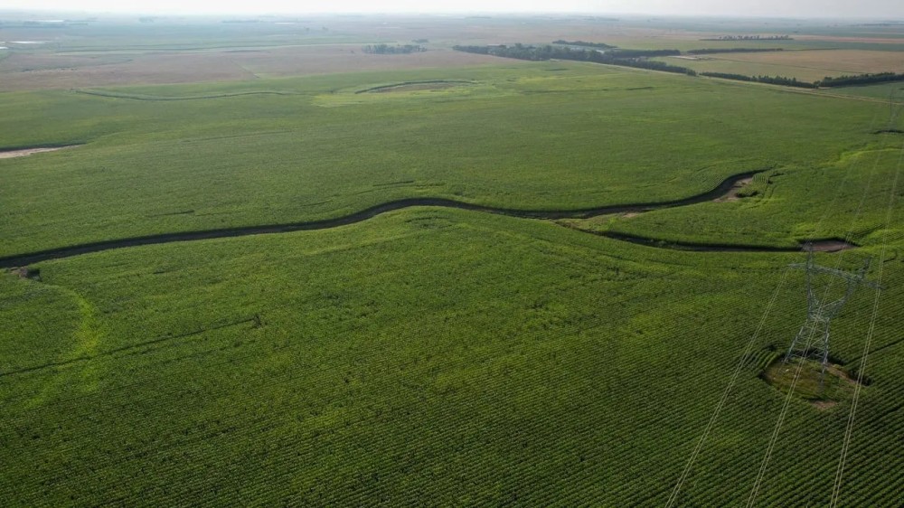 Charles Mix Northeast Farmland featured image