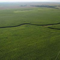Charles Mix Northeast Farmland