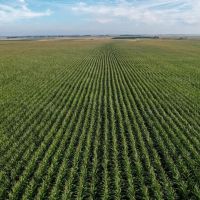 Charles Mix Northeast Farmland images 2