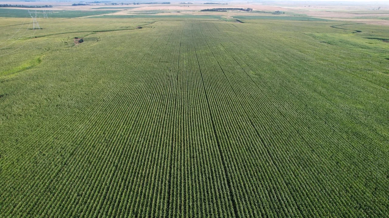 Charles Mix Northeast Farmland Hunting Land for Sale HuntingLocator