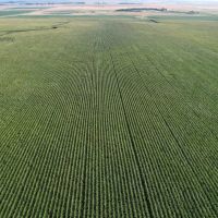 Charles Mix Northeast Farmland images 3
