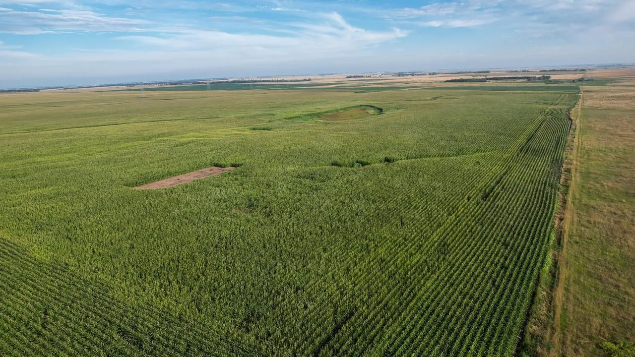 Charles Mix Northeast Farmland Hunting Land for Sale HuntingLocator