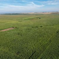Charles Mix Northeast Farmland images 4