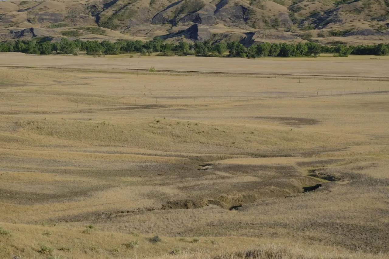 Bad River Road 316 Hunting Land for Sale