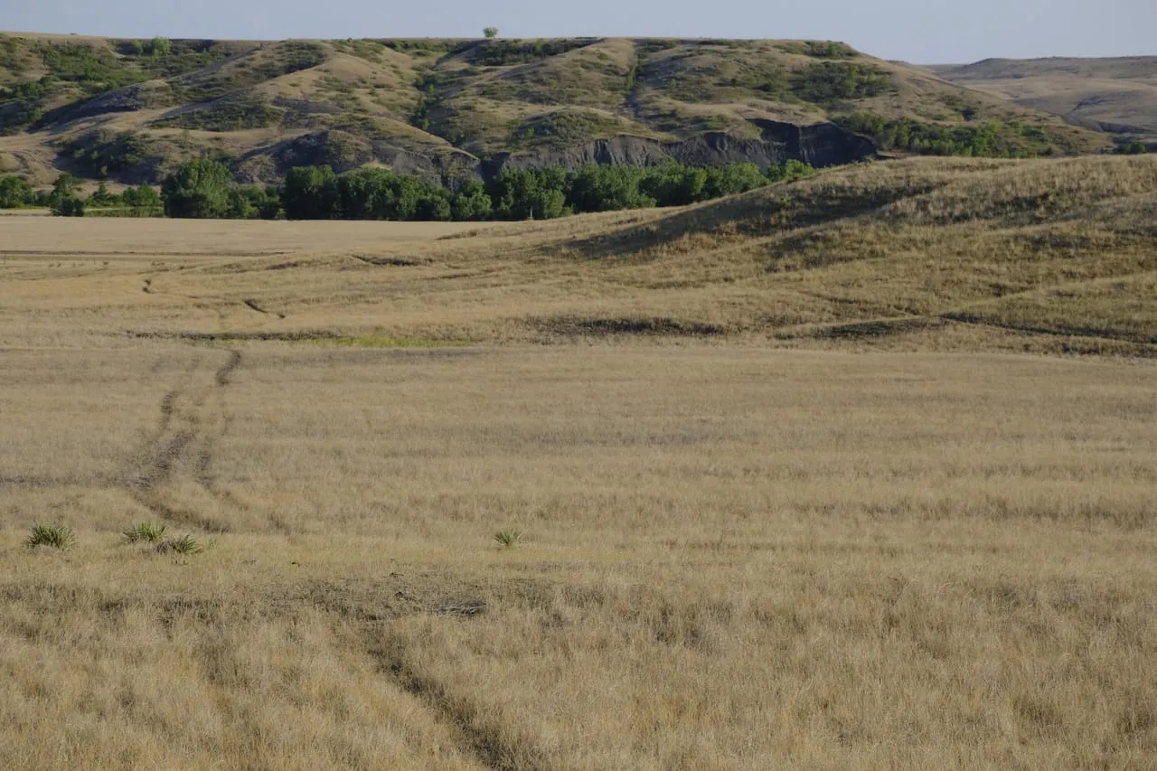 Bad River Road 316 Hunting Land for Sale