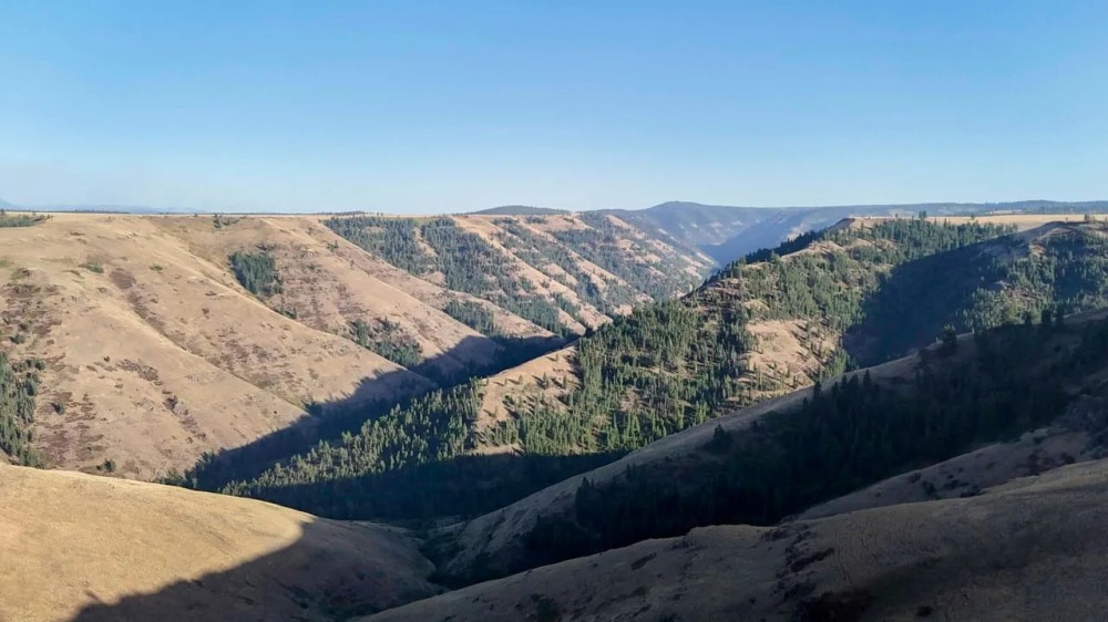 Big Sheep Ranch featured image