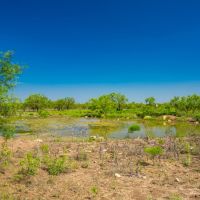 Hideout Ranch images 3