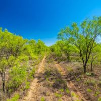 Hideout Ranch images 5