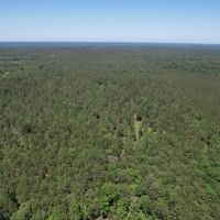 Timber Hill Retreat images 2