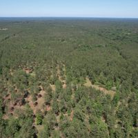 Timber Hill Retreat images 3
