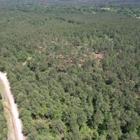 Timber Hill Retreat images 4